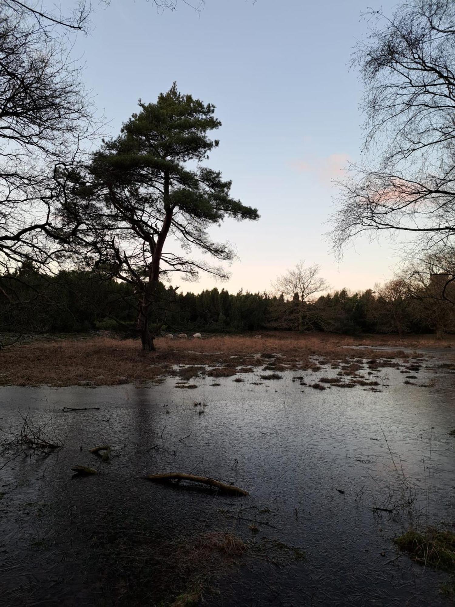 Natuurhuisje Meppen エクステリア 写真
