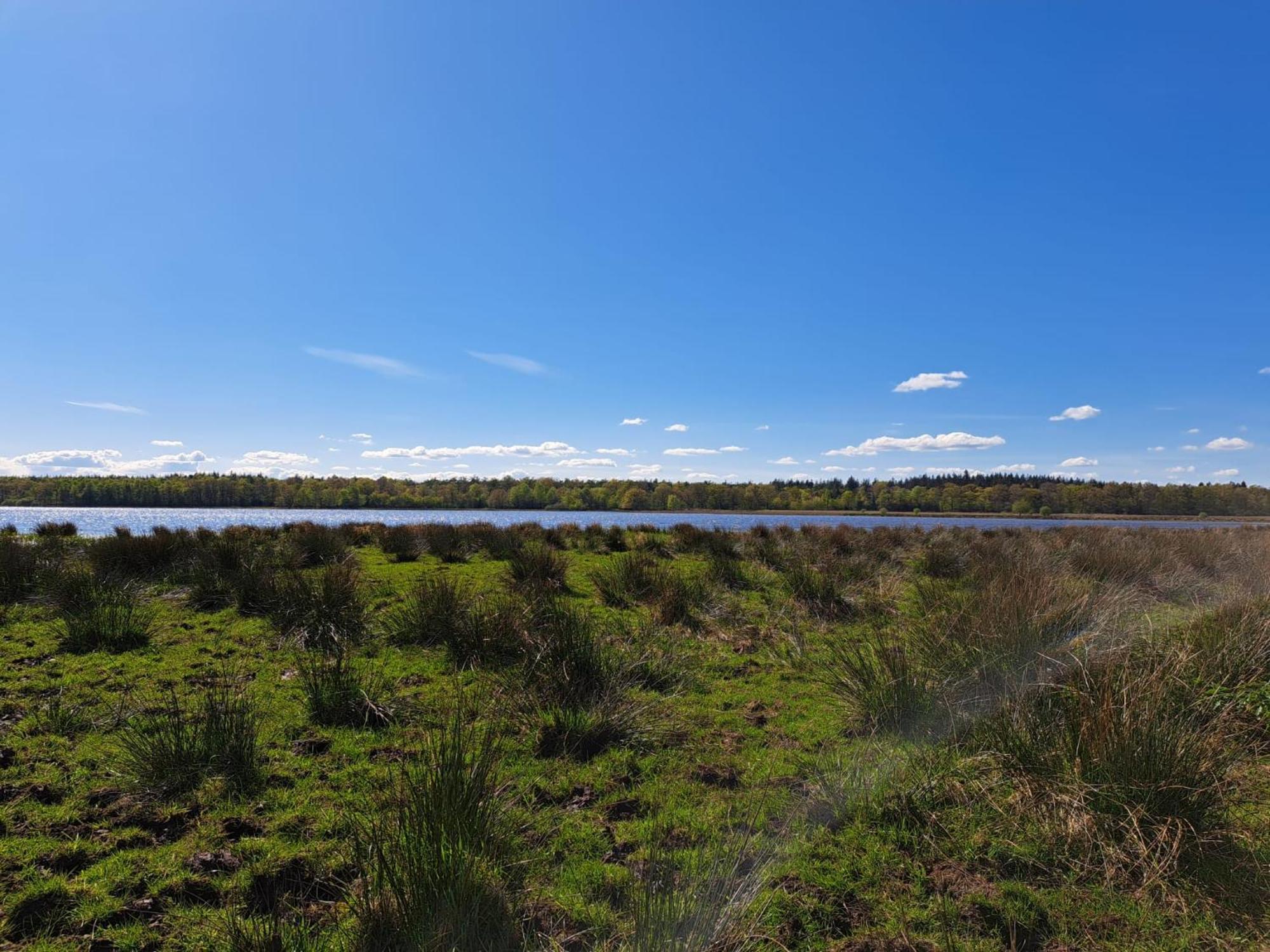 Natuurhuisje Meppen エクステリア 写真