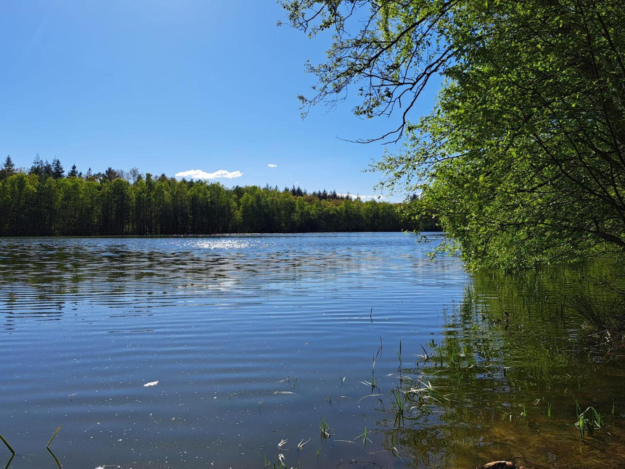 Natuurhuisje Meppen エクステリア 写真
