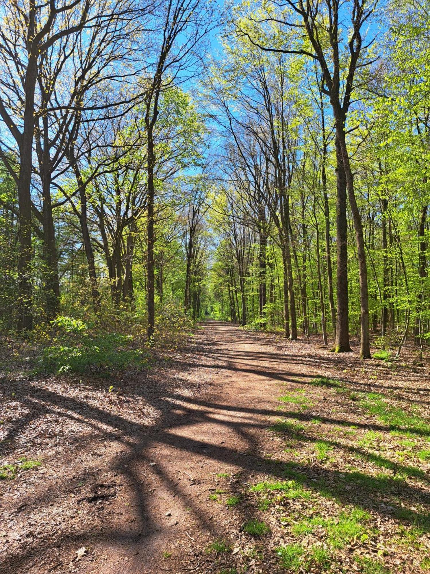 Natuurhuisje Meppen エクステリア 写真